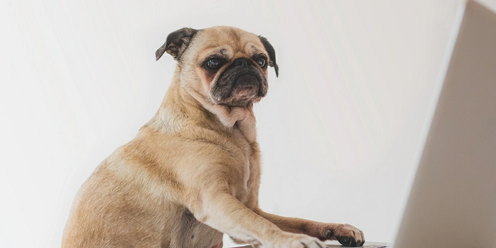 Как помочь сотрудникам добровольно принять правила ИТ-политики на предприятии