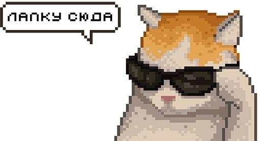 Котик подписка