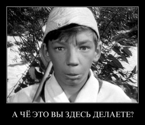 Директор не догадывается чем занимаются ИТ-шники Чем это вы здесь занимаетесь