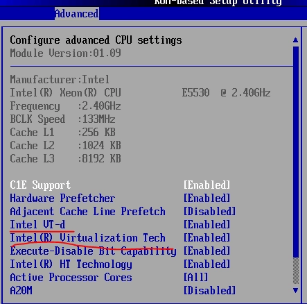 Установка Vmware ESXi на сервер