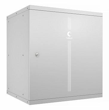 Шкаф серверный 12U Cabeus WSC-05D-12U55/45m