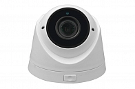 Внутренняя IP Видеокамера SKVISION SK-106DP