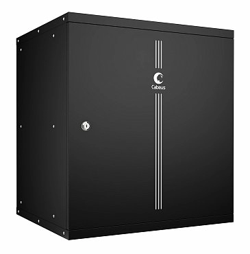 Шкаф серверный 12U Cabeus WSC-05D-12U55/45m-BK
