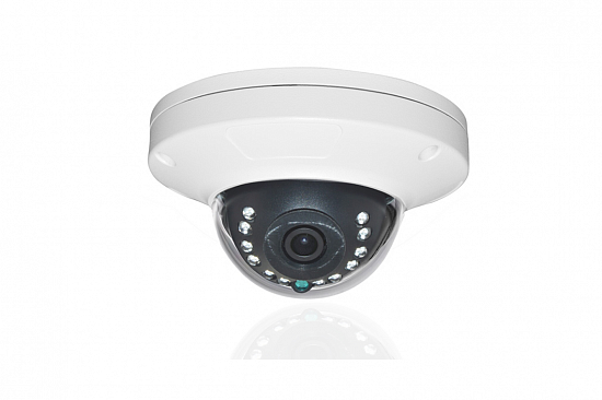 Внутренняя IP Видеокамера SKVISION SK-921SDP