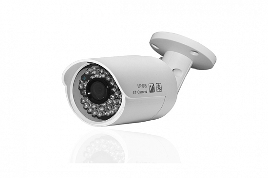 Уличная IP Видеокамера SKVISION SK-249HDP