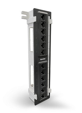 Настенная патч-панель Кат.5е Hyperline PPW-12-8P8C-C5e 12 портов